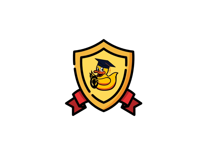 Duckietown instructor subscription