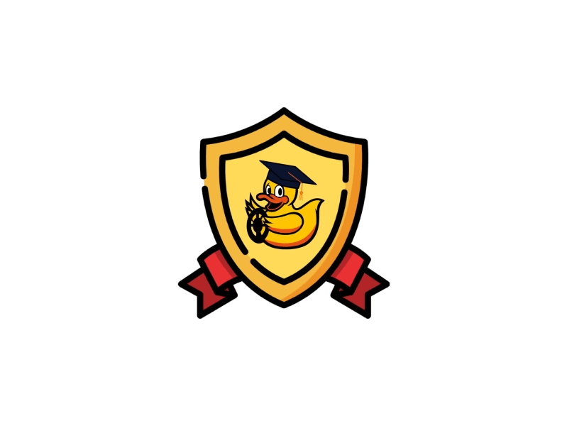 Duckietown professor subscription