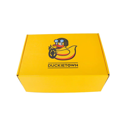 Duckiedrone (DD21) - the Duckietown project store